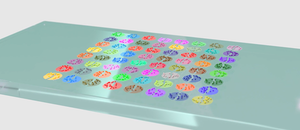 Rendering of the sensor chip: a glass slide carrying the 8 by 8 array of 64 molograms, each shown as a small patterned disc.